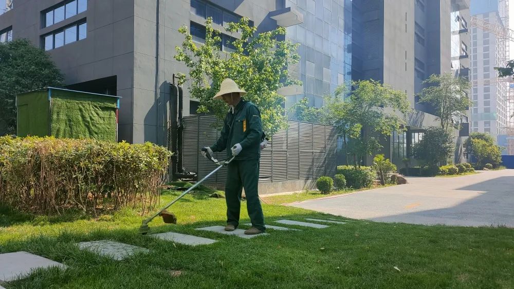 感受夏日，體驗涼爽，走進這座創業之城！